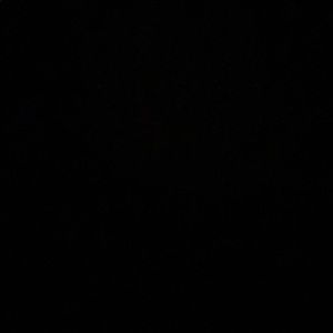 Meet your Posher, Aileen